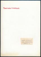 cca 1975 Matz Károly budapesti fotóművész nevével jelzett, vintage fotóművészeti alkotás (Rehabilitá...