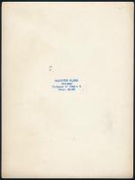 cca 1929 Budapest, Wachter Klára fényképész műtermében készült, pecséttel jelzett vintage fotó, 24x1...