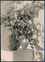 cca 1933 Dr. Csörgeő Tibor (1896-1968) budapesti fotóművész hagyatékából, jelzés nélküli vintage fotó, 12x8,8 cm