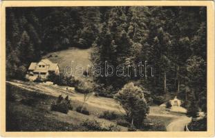 Kis-Fátra, Malá Fatra; Lurdská kaplnka a turstická útulna pri pramenoch Nitry pod Revanom / Lourdes-Grotte und Touristenheim bei der Neutraquelle unter dem Revan. Nákl. M. Klimko (Prievidza) / Lourdes-i kápolna és turistaház a Nyitra forrásánál a Revan alatt / chapel, tourist house (EB)