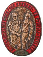1893. Magyarországi Munkások Rokkant- És Nyugdíj-Egylete zománcozott, ezüstözött gomblyukjelvény (34x26mm) T:2