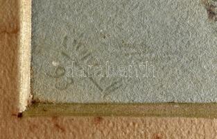 Schiler 93 jelzéssel, XIX. sz végén működött festő alkotása: Trieszt, Miramare kastély. Akvarell, pa...