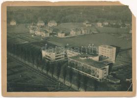 Dessau, Das Bauhaus, Fliegeraufnahme / aerial view (EM)