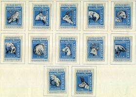 538 darabos szovjet gyufacímke-gyűjtemény iratrendezőben