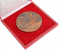 ~1970-1980. "Betonútépítő" kétoldalas, öntött Br plakett, eredeti tokban (99mm) T:1-