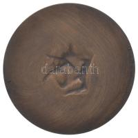 Lengyelország 1979. "Nemzetközi Gyermekév" öntött, kétoldalas Br emlékérem. Szign: J. Mark...