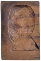 Hetés György (1921-1998) 1969. "Kandó Kálmán" egyoldalas, öntött Br plakett (77x118mm) T:2