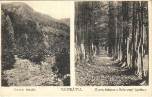 Nagybánya, Baia Mare; Izvorai részlet, Gyertyánfasor a Széchenyi ligetben / park