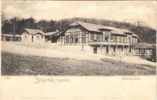 Stájerlak, Steierdorf, Kirscha; nyaraló és vendéglő / Restauration / villa and restaurant