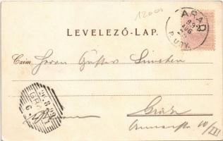 1899 Arad, Újarad, Aradul Nou; Skultéty síremlék, Római katolikus templom a főúton. Mayer Lajos kiad...