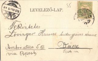 1903 Temesvár, Timisoara; Jenő herceg utca. Káldor Zs. és Társa kiadása / street view (r)