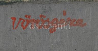 Vörös Géza jelzéssel: Virágcsendélet. Olaj, vászon. 60x40 cm