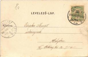 1904 Budapest VIII. Tisztviselőtelep, Elnök utca, villamos