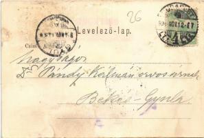 1904 Budapest IX. Köztelek utca, Pátria Irodalmi vállalat és nyomdai Rt. épülete, belső, lépcsőház. ...