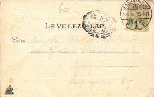 1904 Szombathely, Fő tér, üzletek. Dombornyomott művészlap fecskékkel. Steiner Testvérek kiadása. Ar...