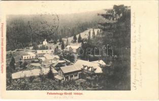 1907 Feketehegyfürdő, Feketehegy, Cernohorské kúpele (Merény, Vondrisel, Nálepkovo); Divald (EK)