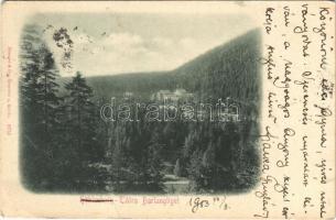 1903 Barlangliget, Höhlenhain, Tatranská Kotlina (Tátra, Magas Tátra, Vysoké Tatry); (EK)