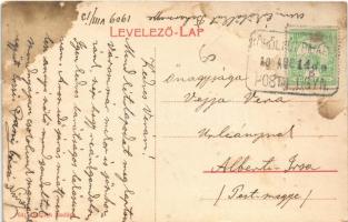 1909 Székelyhíd, Sacueni;Gróf Stubenberg kastélya / castle (fl)