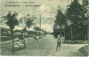 1930 Kézdivásárhely, Targu Secuiesc; Parcul Józsiás / Józsiás sétakert. Turóczi István kiadása / park, promenade (fl)