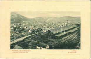 1913 Resicabánya, Resicza, Recita, Resita; látkép, vasgyár, iparvasút. W. L. Bp. 137. / general view, iron factory, ironworks, industrial railway (fa)