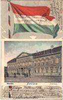 1903 Pancsova, Pancevo; Városháza. Magyar zászlós szecessziós keret. Kohn Samu kiadása / Stadthaus / town hall. Art Nouveau frame with Hungarian flag (fl)