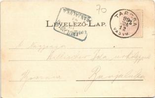 1899 Tarcsa, Tarcsafürdő, Bad Tatzmannsdorf;  Forrás épület, Gyógytér, Mária villa. Wlaszlovits Gusz...