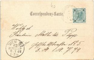 1901 Ulrichskirchen-Schleinbach (Ulrichskirchen), general view, church, castle. F. Schöler (Wien) Ar...