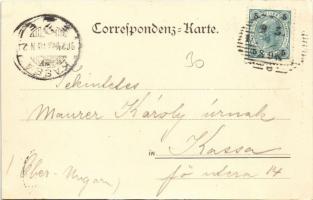 1902 Wien, Vienna, Bécs; Gut Eis! Wiener Eislauf-Verein / Viennese Ice Skating Club, ice skaters, wi...