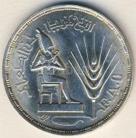 Egyiptom 1976. 1Ł Ag "FAO" T:1-/2+