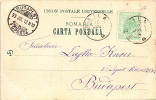 1899 Braila, Inundatia portului 1897. Monument, Strada Regala, Desfacere Totala / flooding of the po...