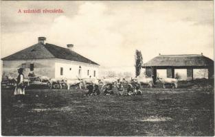 Szántód, Révcsárda, ökörgulya. Mérei Ignác 570. sz. 1908.