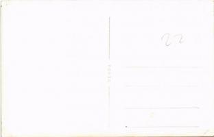 Magyar Dolgozók Pártja (MDP) ünnepsége, magyar zászlók és címer / members of the Hungarian Working P...