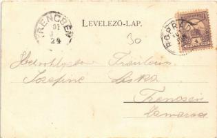 1901 Tátra, Magas Tátra, Vysoké Tatry; Poprádi Huszpark / park (gyűrődés / crease)