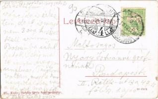 1908 Nagytapolcsány, Topolcany; Római katolikus templom, piac. W. L. (?) 491. Platzko Gyula kiadása ...