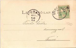 1902 Thurzófüred, Kúpele Turzo (Gölnicbánya, Gelnica); Hygea. Wlaszlovits Gusztáv kiadása 1338. / vi...