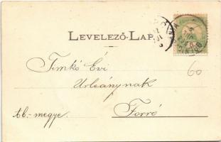 1902 Thurzófüred, Kúpele Turzo (Gölnicbánya, Gelnica); fürdő, evezős csónakok. Wlaszlovits Gusztáv k...