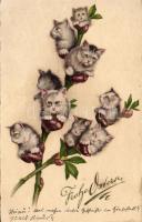 Cats Litho