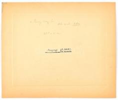 1941 M. kir Csendőrtisztképző tanfolyam tablója. 17x24 cm Kartonon Rozgonyi fotó