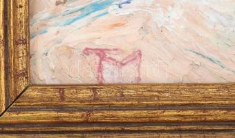 TM jelzéssel: Tanya. Olaj, karton, fa keretben. 22×29 cm