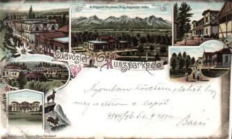 1898 Huszpark Litho (b)