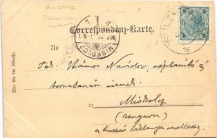 1902 Sulz im Wienerwald, Curhaus / spa