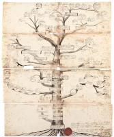 1807 A nemes Sághy család kézzel, tussal rajzolt családfája, viaszpecséttel. Szétszakadt, foltos, kissé hiányos állapotban. 48x39 cm