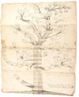 1822 A nemes Sághy (Saaghy) család kézzel, tussal rajzolt (és később színezett?) nemzetségi fája (családfája) 1279-től 1822-ig. Helyenként kissé foltos, lap szélén kissé sérült, hajtásnyomokkal. 52x42 cm