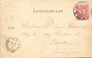 1899 (Vorläufer) Budapest, Kilátás a Margitsziget felé, Országház. Divald Károly 15. sz.  (EK)