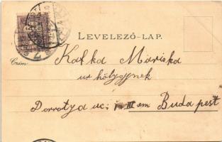 1901 Budapest, Országház, Parlament, Vígszínház, Népszínház, Igazságügyi Palota. Ottmar Zieher Art N...