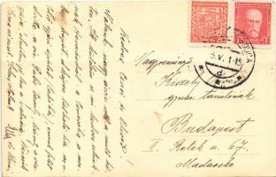 1915 Hermánd, Hermanecz, Harmanec; papírgyár utolsó épülete / paper factory. photo  (fa)