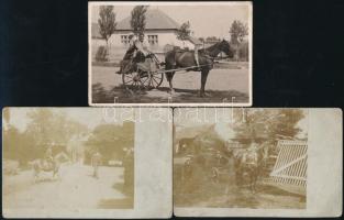 cca 1900-40 össz. 3 db lovakat ás lovak által húzott járműveket ábrázoló fotólap, 2 db hidegpecséttel jelzett (Magyar Imre, Hungária Körút), részben sarkaiban megtört,