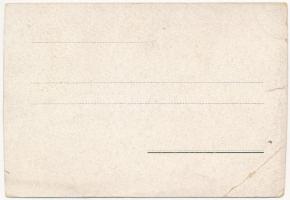 Budapest XVI. Rákosszentmihály, nyaraló, villa (b)