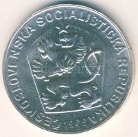 Csehszlovákia 1966. 10K Ag "Nagy Morvaország" T:1/1-