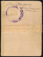 1920 Fényképes fegyvertartási és viselési engedély